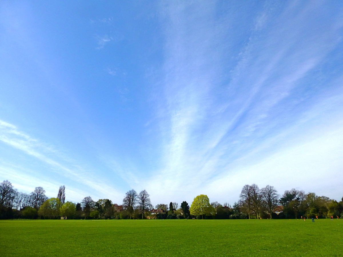 Clouds over the Park